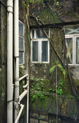 Illustration for article titled These post-apocalypse images of Hong Kong are actually real photos